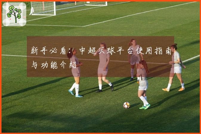 新手必看：中超买球平台使用指南与功能介绍