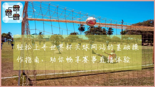 轻松上手世界杯买球网站的基础操作指南，助你畅享赛事直播体验