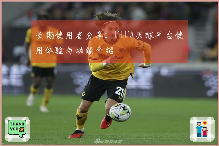长期使用者分享：FIFA买球平台使用体验与功能介绍