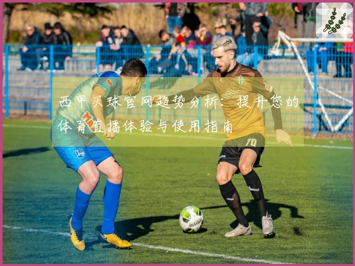 西甲买球官网趋势分析：提升您的体育直播体验与使用指南
