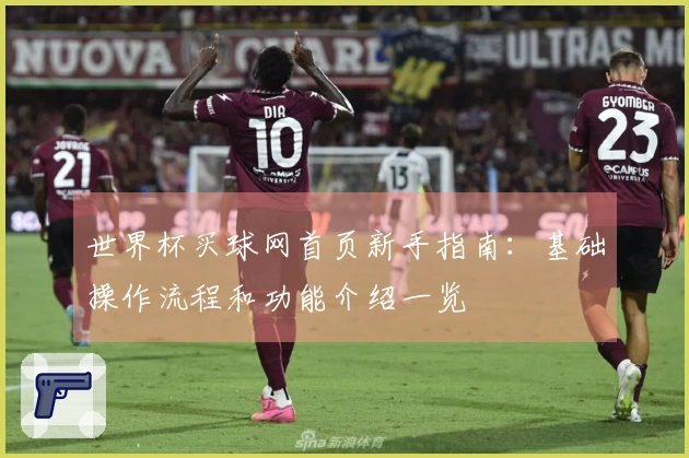 世界杯买球网首页新手指南：基础操作流程和功能介绍一览