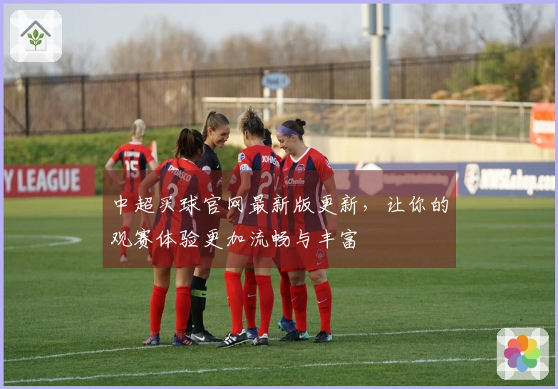 中超买球官网最新版更新，让你的观赛体验更加流畅与丰富